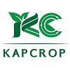 บริษัท แคปครอป จำกัด logo โลโก้