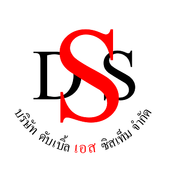 logo โลโก้ Double S System co.,ltd 