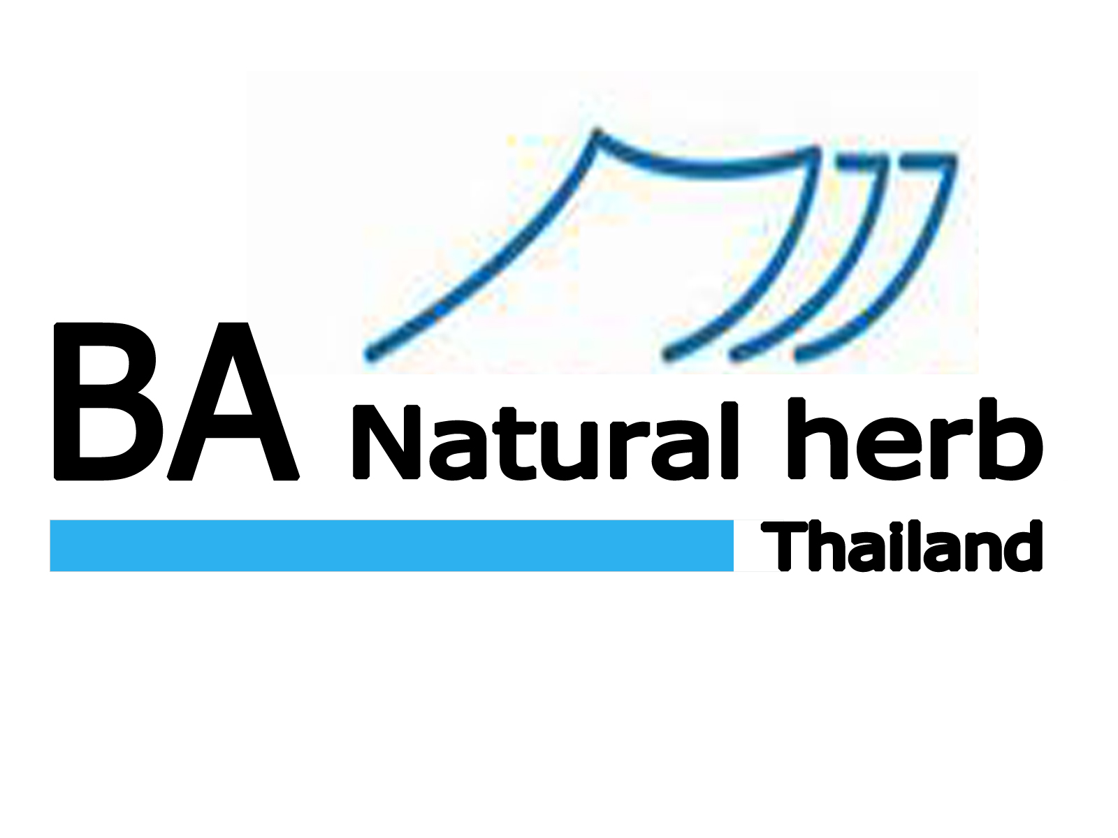 B&A Natural Herb logo โลโก้