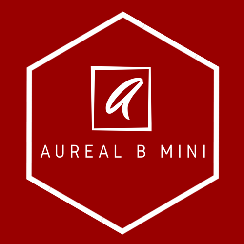 ออเรียล บี มินิ จำกัด logo โลโก้
