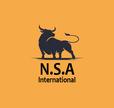 N.S.A lnternational logo โลโก้