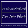 สยามอินเตอร์เพล้นทส์ (Siam Inter Plants) logo โลโก้