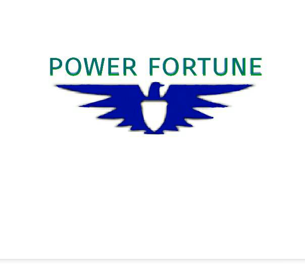 Power Fortune logo โลโก้