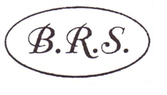 บริษัท บี.อาร์.เอสเทรนเทอร์มินัล โลจิสติกส์ จำกัด logo โลโก้