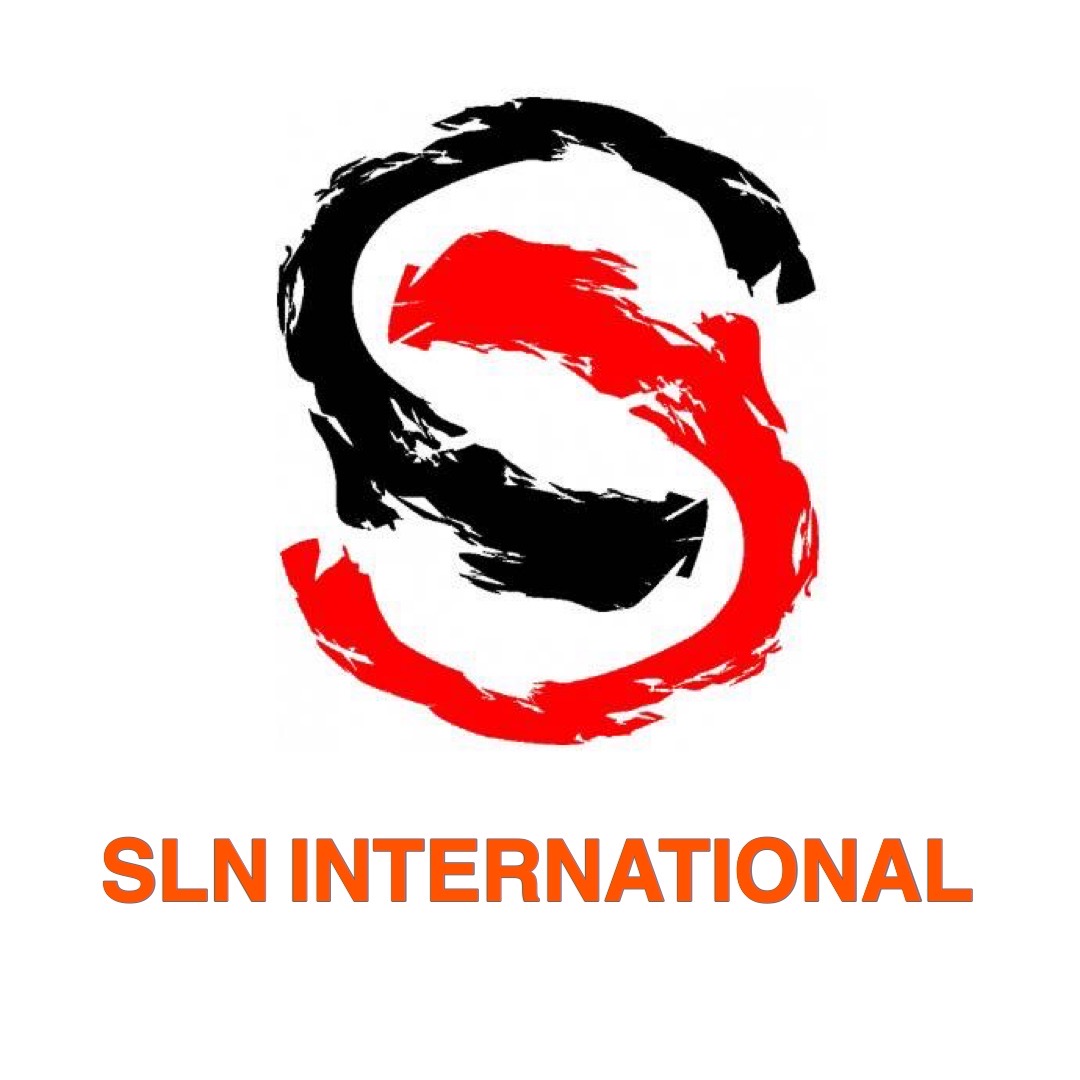 Sln International logo โลโก้