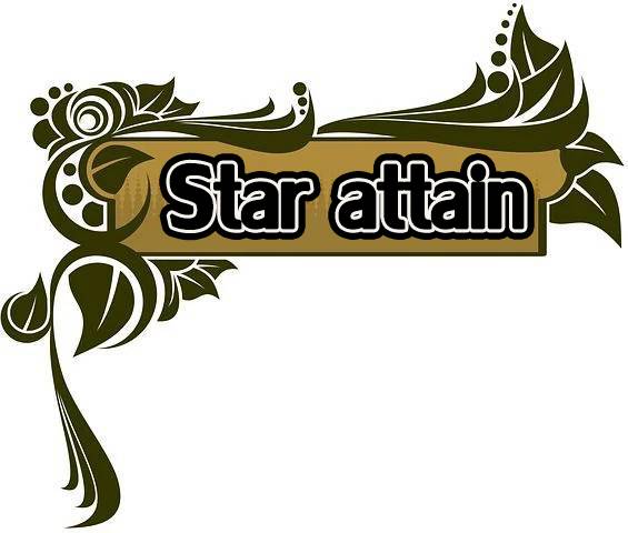 logo โลโก้ Star Attain 