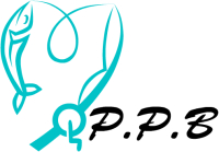 logo โลโก้ P.P.B กรุ๊ป 