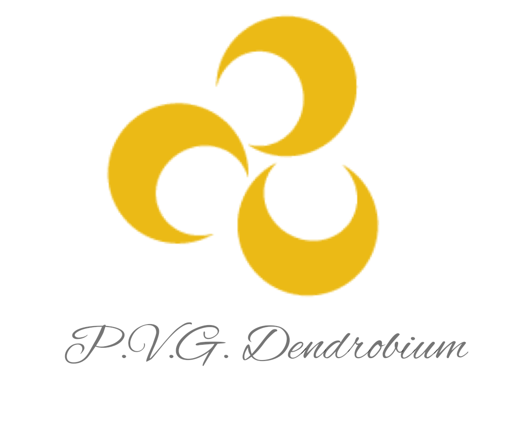 logo โลโก้ บริษัท P.V.G Dendrobium จำกัด 
