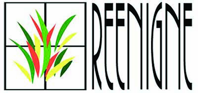 บริษัท รีเนน จำกัด  logo โลโก้